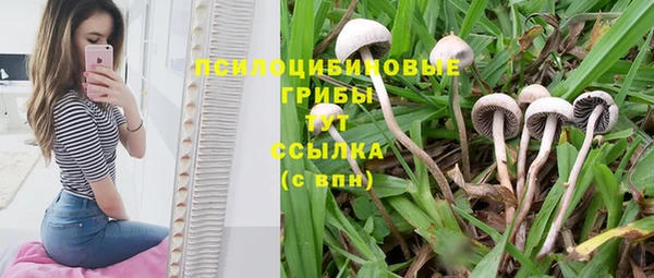 скорость Арсеньев