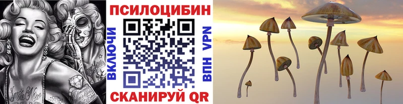 дарк нет Telegram  Приморско-Ахтарск  Галлюциногенные грибы мухоморы 